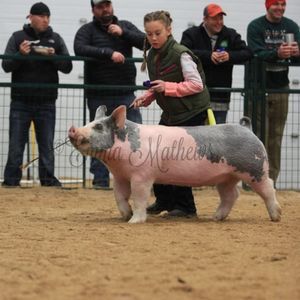 Meet your Posher, Mackenzie